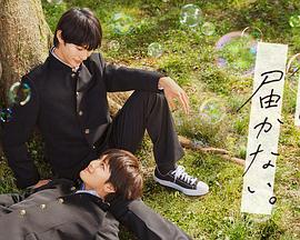 泛页面关键词4576