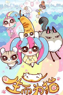 泛页面关键词0988